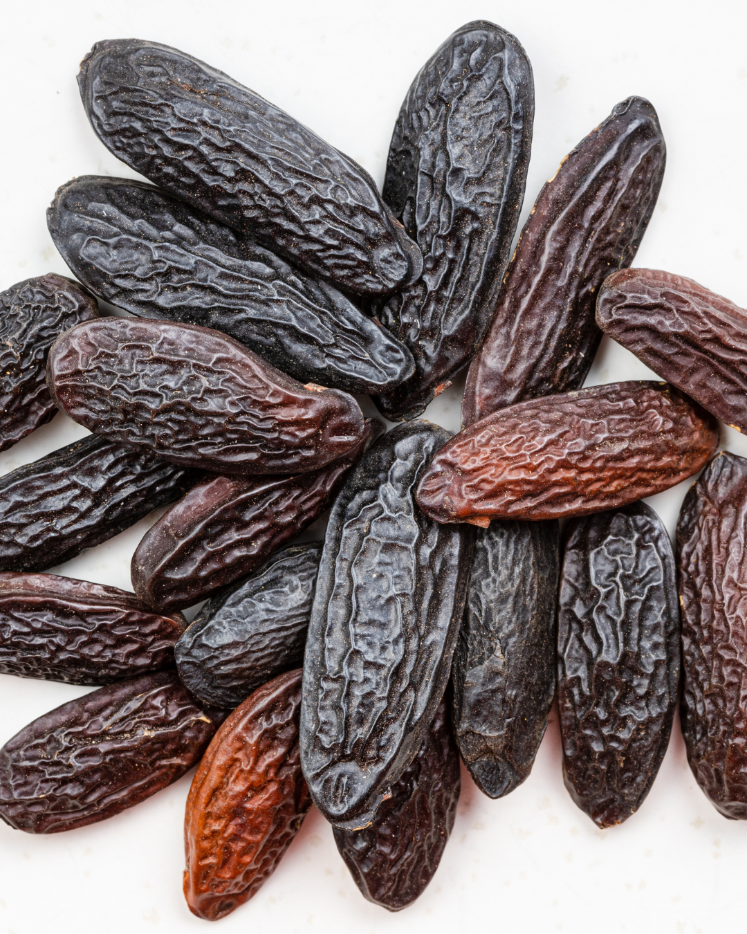 Tonka bean: The note that welcomes us into autumn