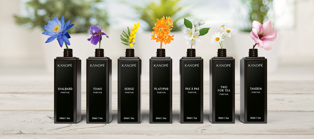 OUR FRAGRANCES - Kanopé Fragrances