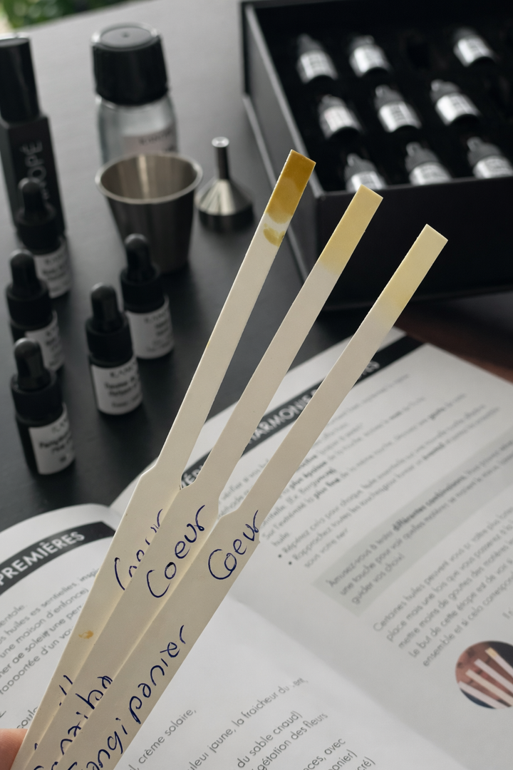 OLFACTIVE KIT - create your own perfume at home