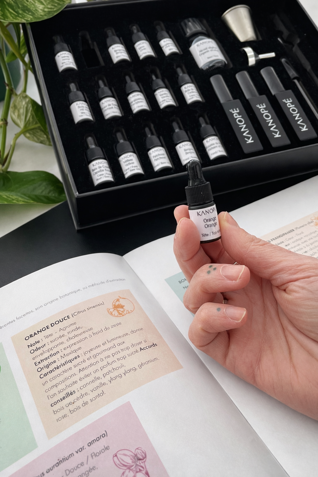 OLFACTIVE KIT - create your own perfume at home